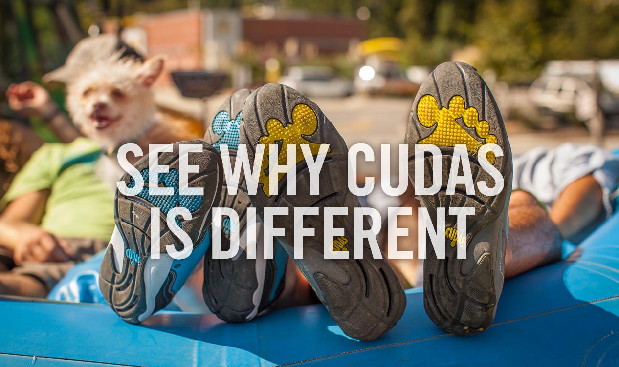 See why Cudas is different